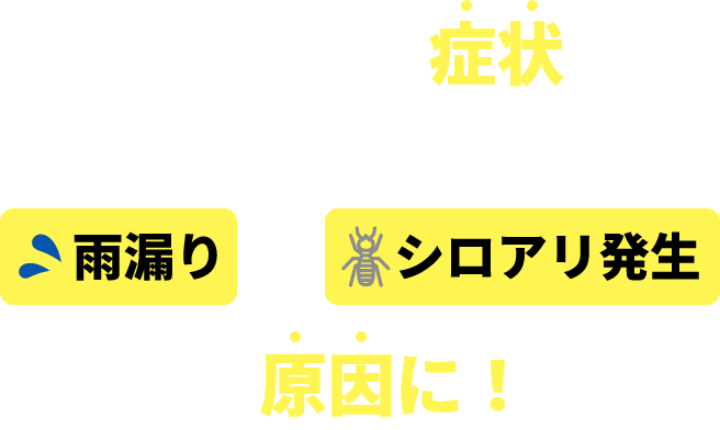 このような症状を放置すると雨漏りやシロアリ発生の原因に！